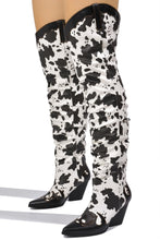 Load image into Gallery viewer, Lori
